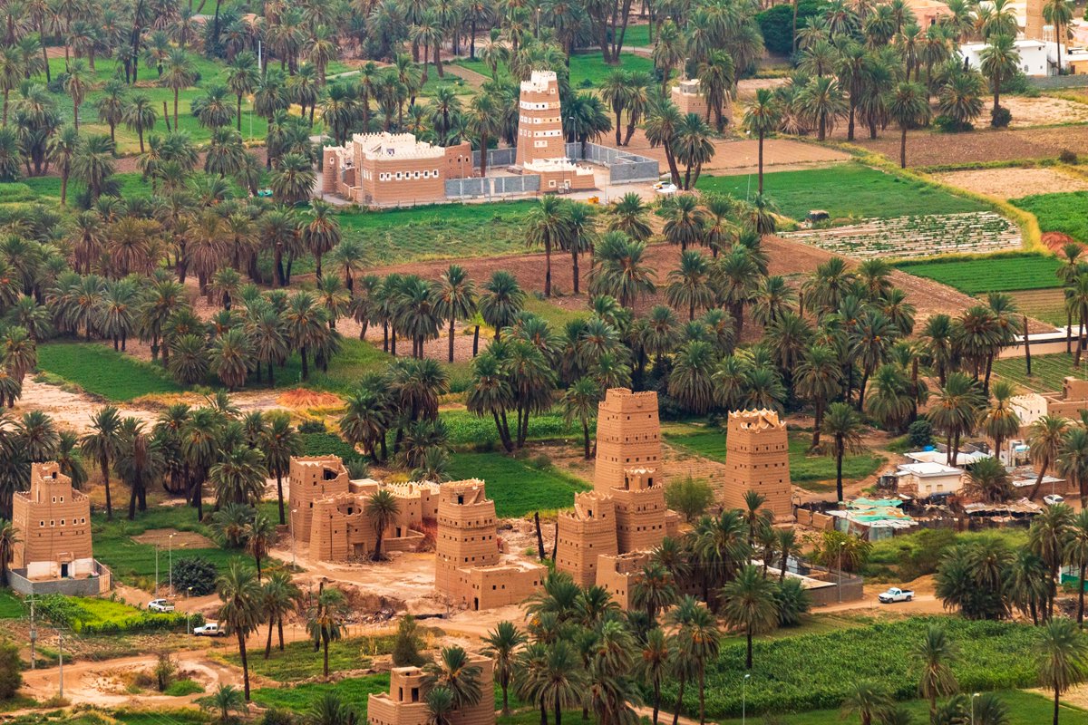 عن #نجران في القرن التاسع عشر:

عندما دخل الرحّالة والمستشرق الفرنسي جوزيف هاليفي مدينة نجران لأوّل مرّة، في 3 يونيو 1870م، انبهر بجمالها الآسر، ووصف تلك الدهشة في تقريره (رحلة إلى نجران Voyage au Nedjrân)؛إذ كَتبَ:

"كِدتُ أن أصرخ من شدّة الإعجاب، فعلى مدّ البصر كانت الأشجار