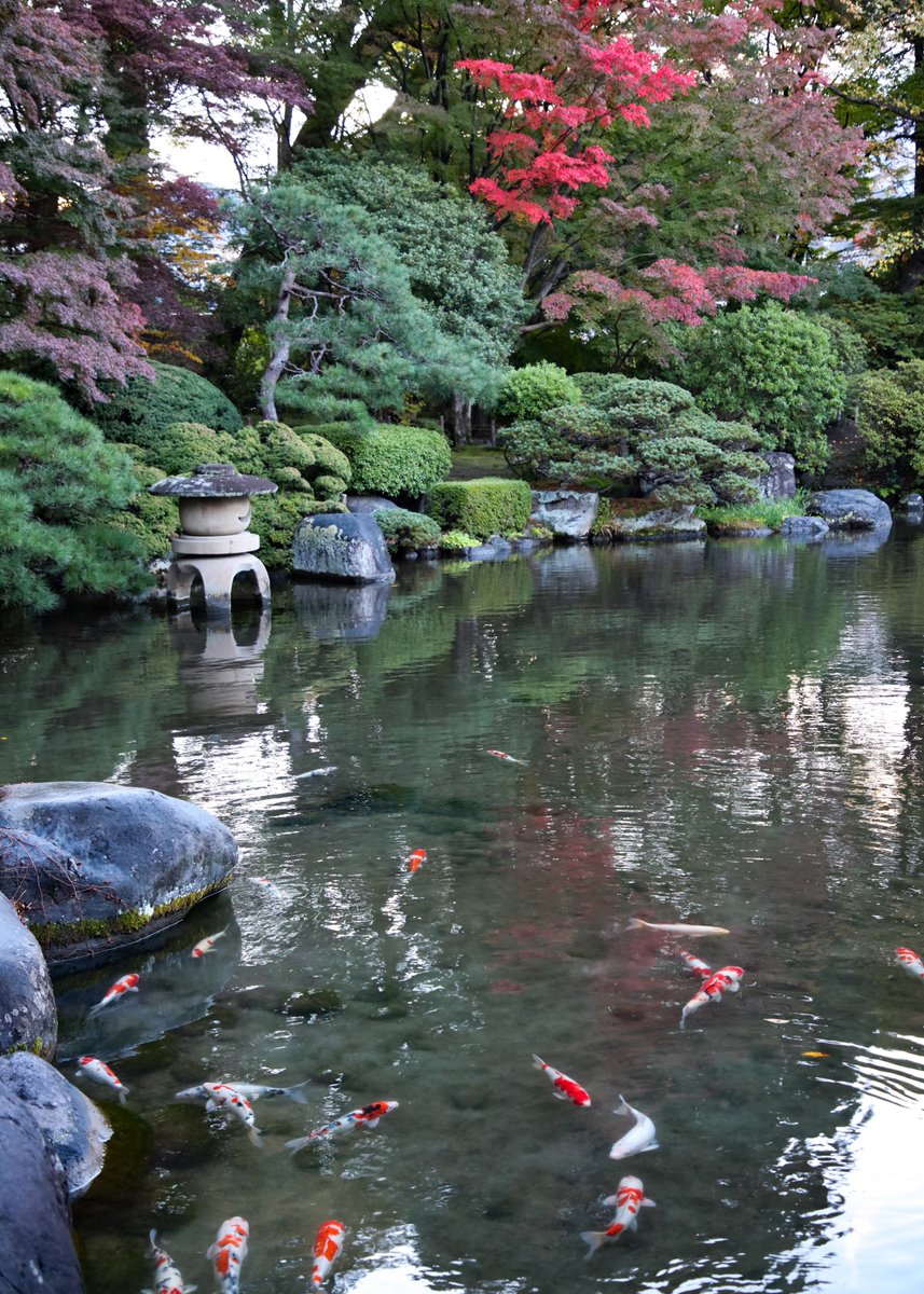 おさかなさんページ おさかなさん さかな ZX太刀魚 | 株式会社ベイシックジャパン