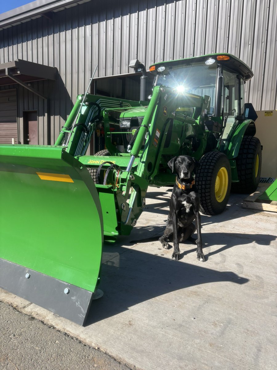 Barley boy and I are headed to St. George, UT tomorrow so he got some energy out at work with his dad this weekend. It may have been sunny and 75° in Flagstaff today but he’s definitely is looking forward to riding around and plowing some snow with his dad soon❄️⛳️