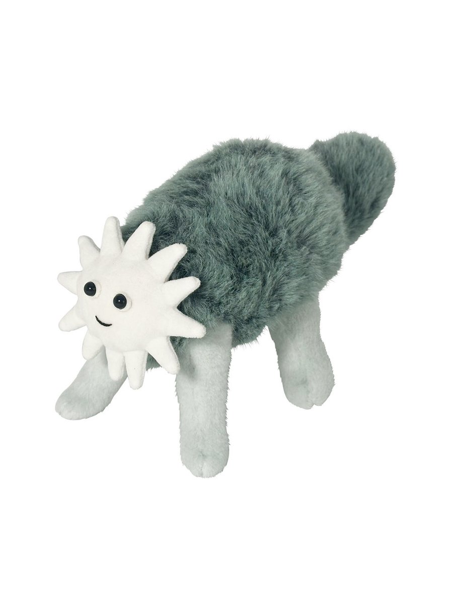 KASUMI OOMINE (@kasumioomine) / Posts / X