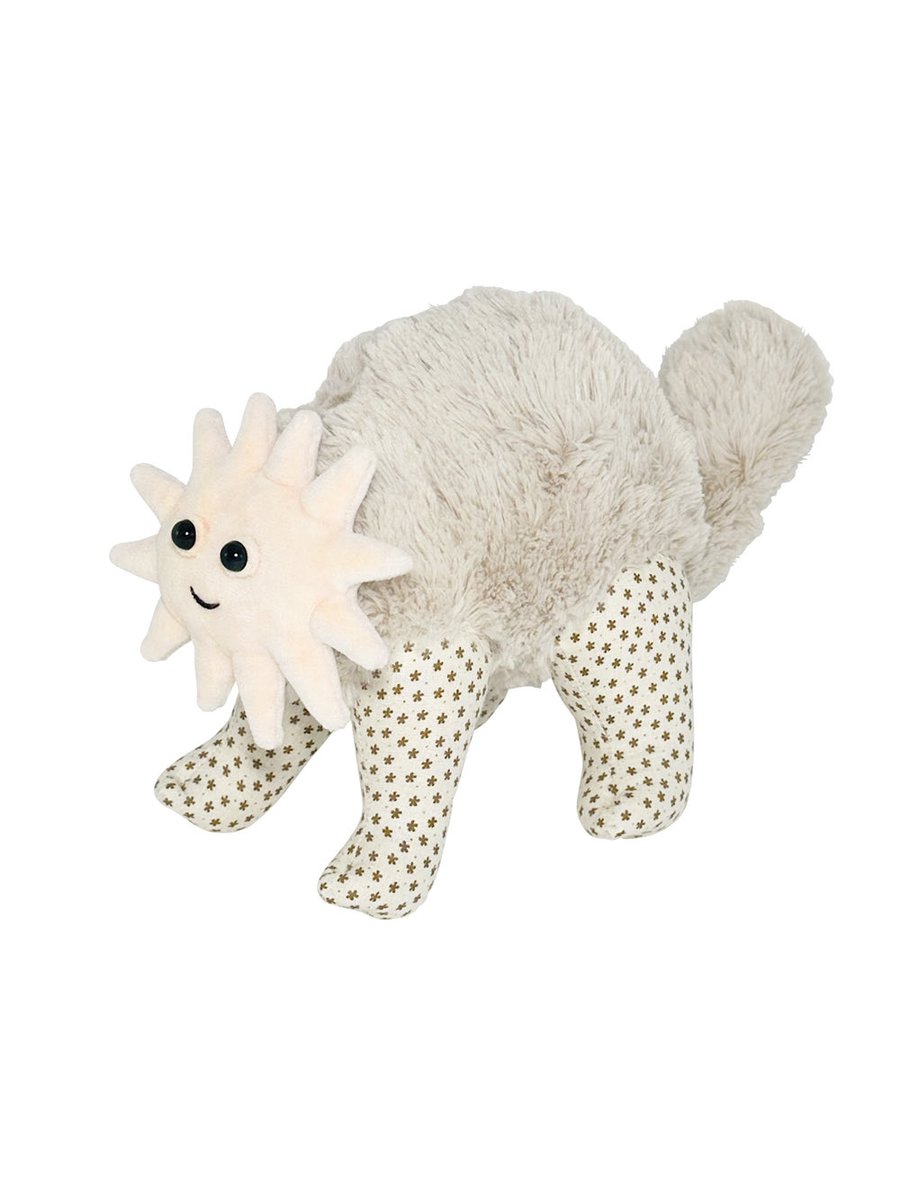 KASUMI OOMINE (@kasumioomine) / Posts / X