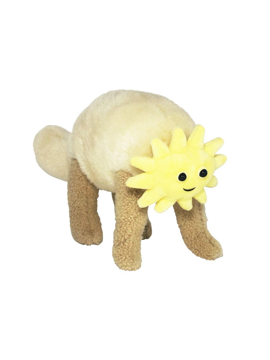 KASUMI OOMINE (@kasumioomine) / Posts / X