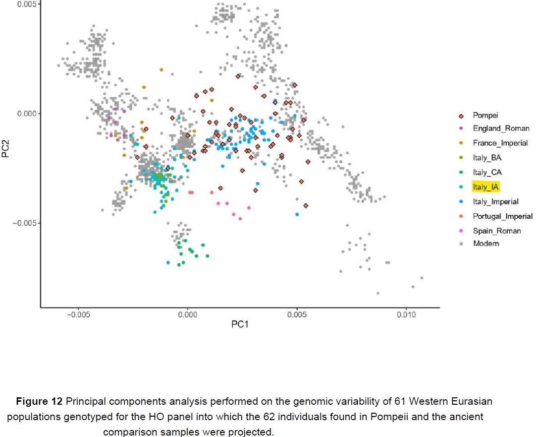 Ancient DNA from 62 individuals in Pompeii reveals that they originated from all over the Roman Empire, with only a minority clustering with Iron Age Italian samples. Most foreigners were Eastern Mediterranean, and some were Western European and North African.

"The extremely