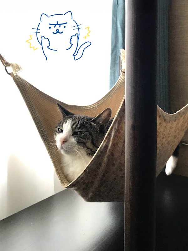 にゃぱねっと♂ on X