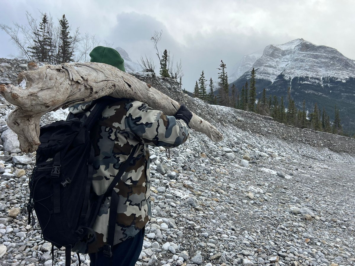 Found a stick on the hike today.