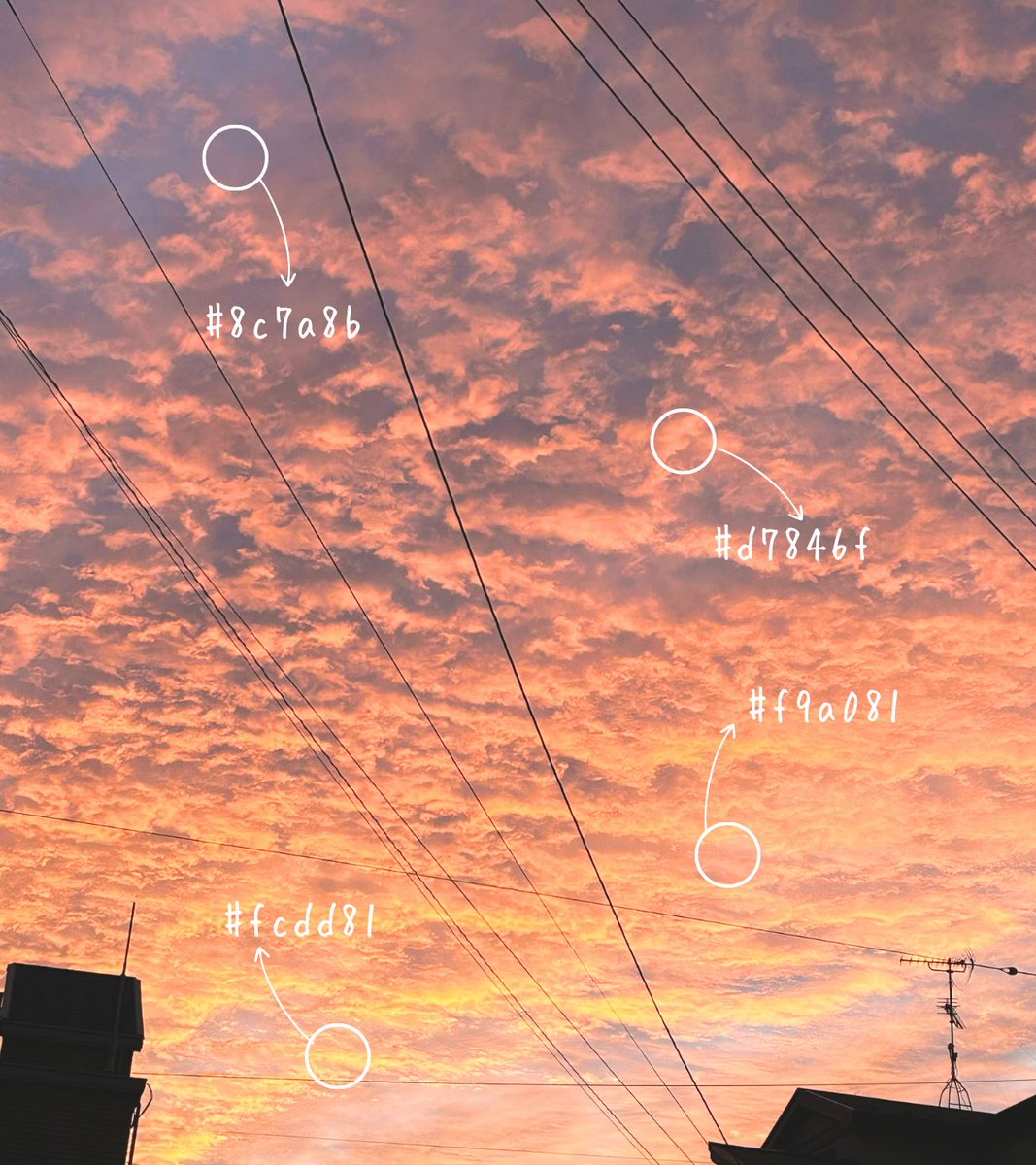 みずほ｜Webデザイナー tweet media