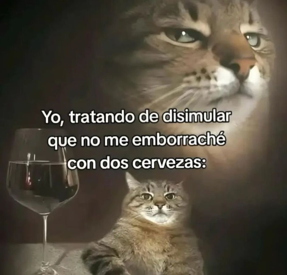 Animalesaprieto's tweet image. 