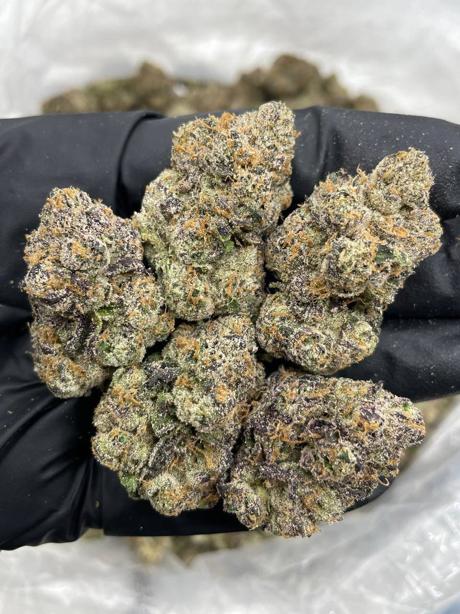 weed_plugha's tweet image. WEED PLUG IN KAWAIHAU, WEED PLUG IN KEALIA, WEED PLUG IN KUMUKUMU, WEED PLUG IN NONOUPAPA, WEED PLUG IN KAPAA HOMESTEADS, WEED PLUG IN WAIPIOULI, WEED PLUG IN KUHIO, WEED PLUG IN COCONUT COAST, WEED PLUG IN LIHUE, WEED PLUG IN PUHI, WEED PLUG IN NAWILIWILI, WEED PLUG IN HANAMAULU