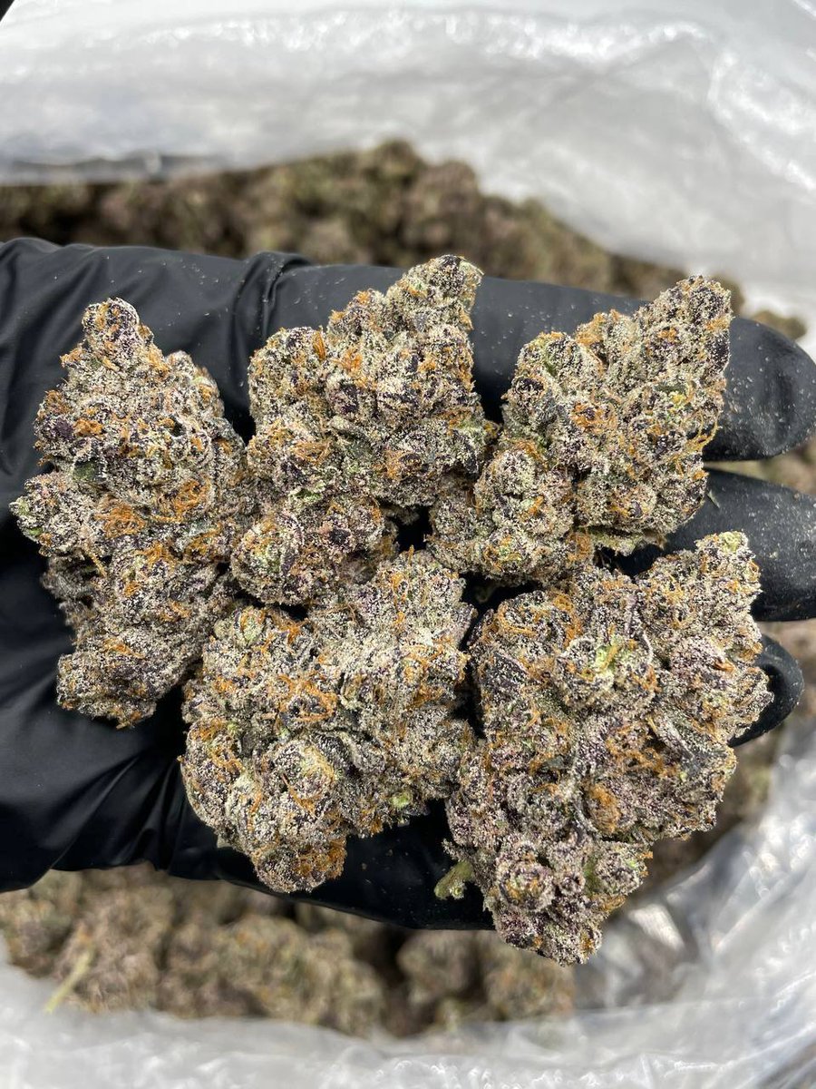 weed_plugha's tweet image. WEED PLUG IN KAMOKU, WEED PLUG IN KAUAI LAGOON, WEED PLUG IN KOLOA MILL, WEED PLUG IN POIPU KAI, WEED PLUG IN SHIPWRECK BEACH, WEED PLUG IN MAHAULEPU, WEED PLUG IN SPouting HORN, WEED PLUG IN ALLERTON GARDEN, WEED PLUG IN MCGREGOR POINT, WEED PLUG IN QUEEN'S POND,