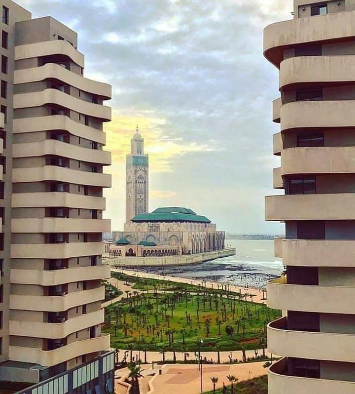 makemorocco's tweet photo. https://t.co/5hNaFqpOOm