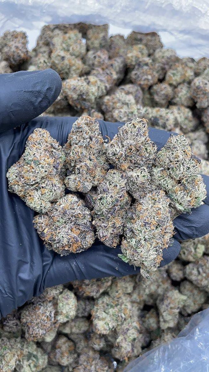 weed_plugha's tweet image. WEED PLUG IN KEAUHOU VIEW ESTATES, WEED PLUG IN KONA BAY ESTATES, WEED PLUG IN KONA HILLS ESTATES, WEED PLUG IN KOHANAIKI, WEED PLUG IN KALOKO, WEED PLUG IN HONOKOHAU, WEED PLUG IN KALOKO MAUKA, WEED PLUG IN KOHANA BAY, WEED PLUG IN OOMA, WEED PLUG IN LANA, WEED PLUG IN KAMAKOA,