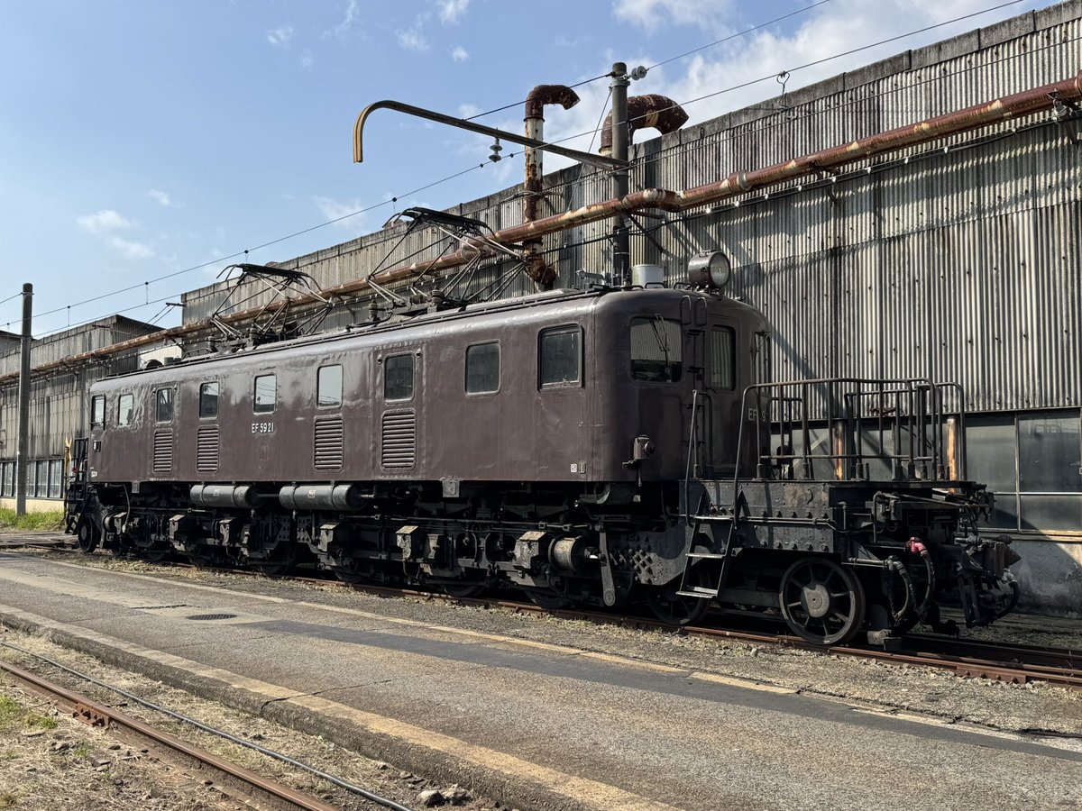 ビクトリー等々 MULTI BORDER FEATHER KNIT｜CONVERSE TOKYO (コンバース