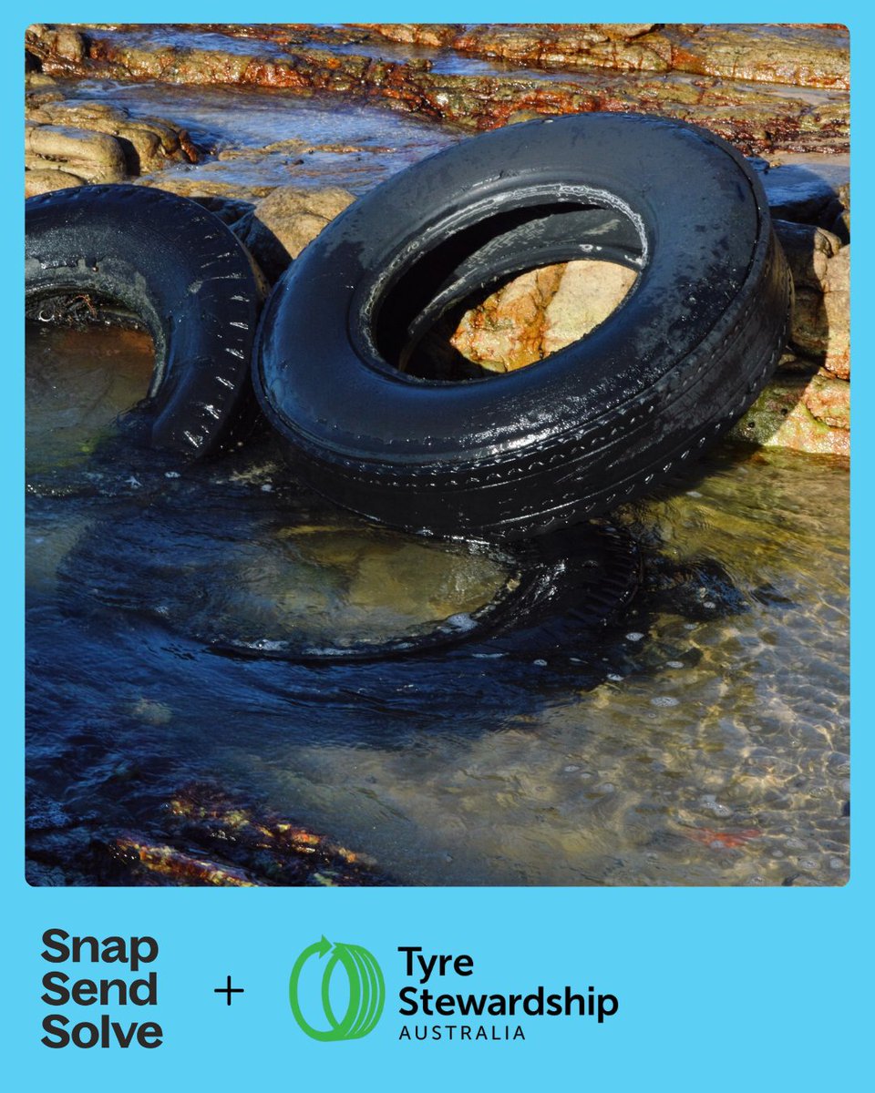 SnapSendSolve's tweet image. More reports, stronger action.

In 2025, Australians are already on track to log almost 3,000 dumped tyre reports — helping local councils and authorities respond faster.

👀 Spot dumped tyres?
📸 Snap it.
📲 Send it.
✅ Solve it.

👉 Report today: vist.ly/4ckpc