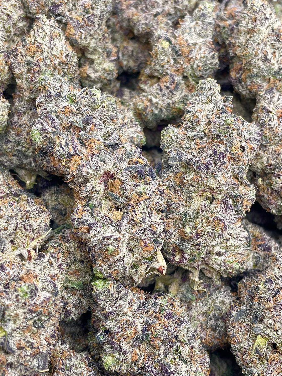 weed_plugha's tweet image. WEED PLUG IN HOOKENA BEACH, WEED PLUG IN MILOLII FISHING VILLAGE, WEED PLUG IN HOOPULOA, WEED PLUG IN KAUHAKO BAY, WEED PLUG IN KONA COFFEE BELT, WEED PLUG IN HOLUALOA ART VILLAGE, WEED PLUG IN KAINALIU TOWN, WEED PLUG IN KEALAKEKUA RANCH, WEED PLUG IN HONAUNAU RANCH,