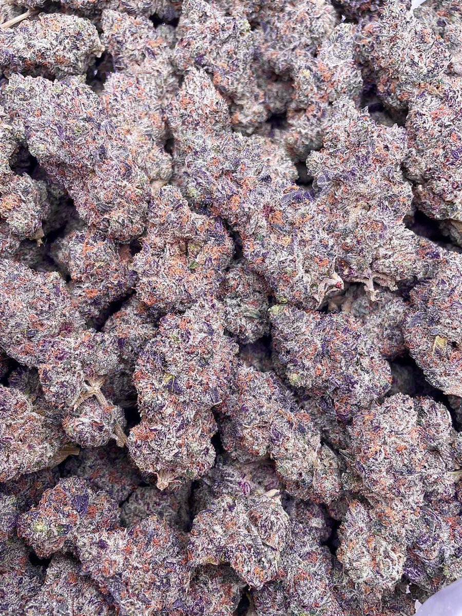 weed_plugha's tweet image. WEED PLUG IN ALII VILLAS, WEED PLUG IN KONA PALISADES, WEED PLUG IN KONA VIEW ESTATES, WEED PLUG IN KONA HILLS, WEED PLUG IN KONA HEAVEN, WEED PLUG IN KEAUHOU ESTATES, WEED PLUG IN KONA COAST VIEW, WEED PLUG IN KONA SEA RIDGE, WEED PLUG IN KONA SEA VIEW, WEED PLUG IN KONA VISTAS,