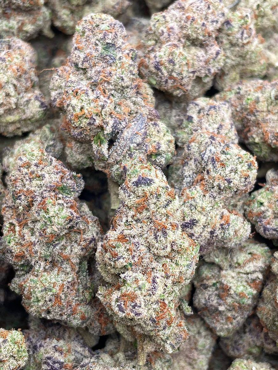 weed_plugha's tweet image. WEED PLUG IN WAIKOLOA VILLAGE, WEED PLUG IN ANAHOOMALU BAY, WEED PLUG IN WAIULUA BAY, WEED PLUG IN KAWAIHAE HARBOR, WEED PLUG IN PUAKO, WEED PLUG IN KOHALA RANCH, WEED PLUG IN KOHALA WATERFRONT, WEED PLUG IN KOHALA BY THE SEA, WEED PLUG IN NORTH KOHALA, WEED PLUG IN HAWI TOWN,