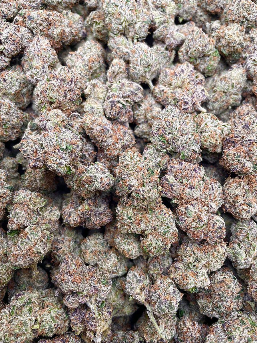 weed_plugha's tweet image. WEED PLUG IN KAMUELA, WEED PLUG IN WAIMEA PARKER RANCH, WEED PLUG IN KOHALA MOUNTAIN, WEED PLUG IN MAUNA KEA, WEED PLUG IN SADDLE ROAD, WEED PLUG IN POHAKULOA, WEED PLUG IN HILO TOWN, WEED PLUG IN WAIKAEKA, WEED PLUG IN REED'S BAY, WEED PLUG IN KEAUKAHA, WEED PLUG IN PANAEWA,