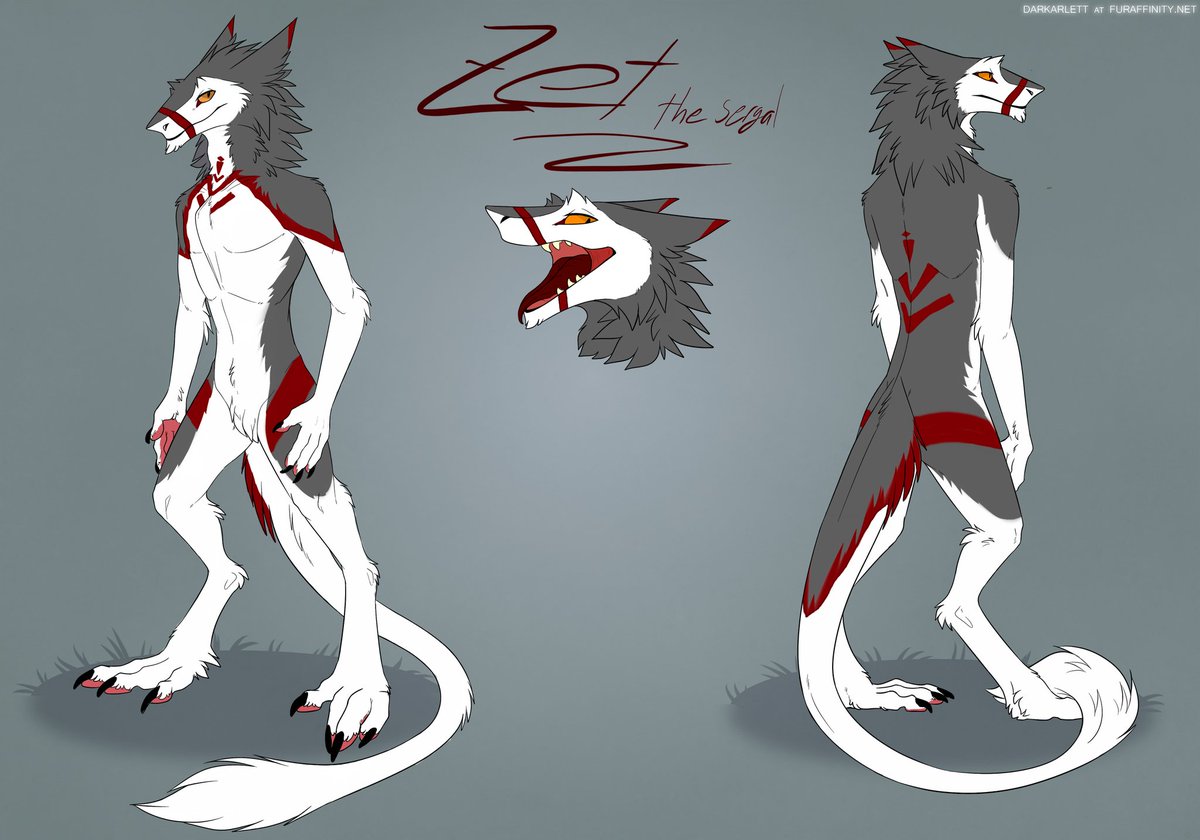 SergalZet's tweet photo. @GoldCanines Ty for the chance and good luck to everyone else.
Trying to get a professional ref sheet.
This is just a recolor i did cause i cant draw :( https://t.co/BQ0kfP2duo