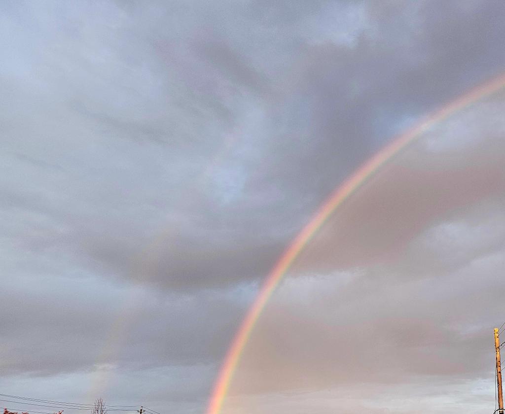 John J Chavis tweet media