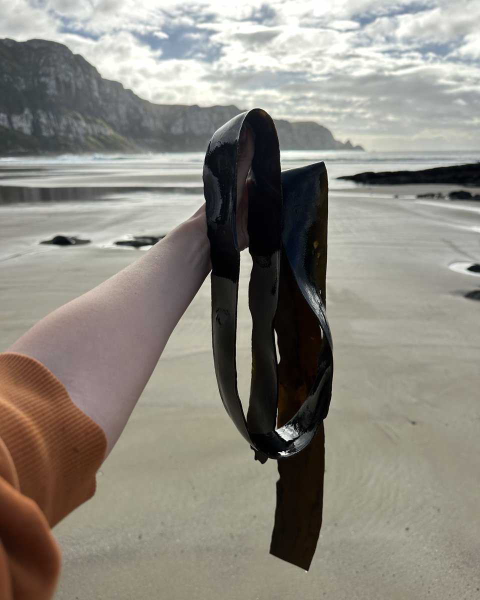 Jaylene🐰 tweet media