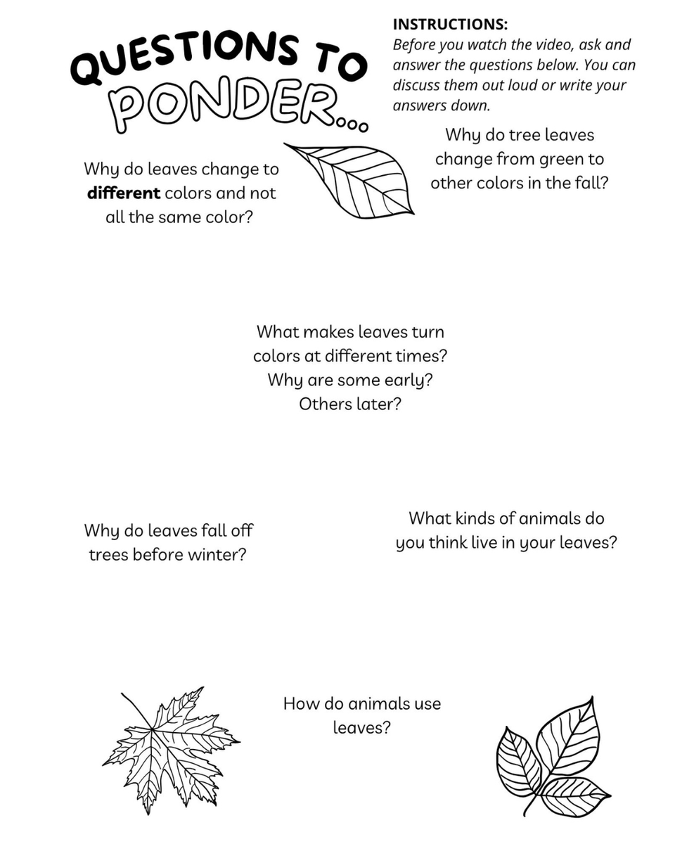 Stephanie Manka (Schuttler), Ph.D. | Scientist tweet media