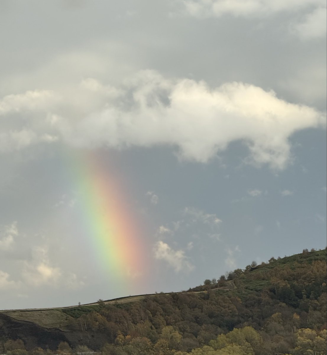 ThatProgrammer's tweet image. Caught this rainbow the other day.