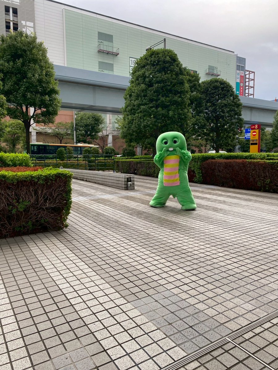 GachapinBlog's tweet image. おっはよー！