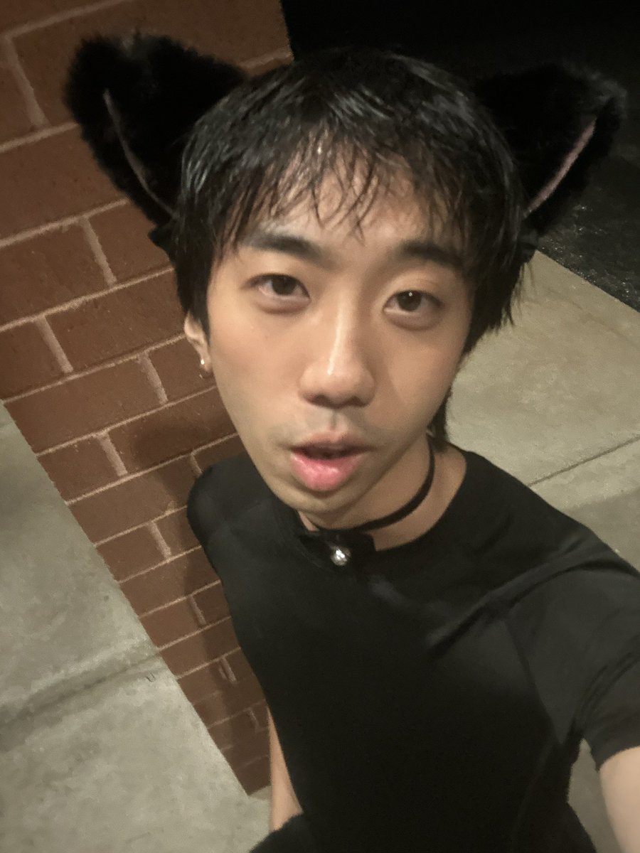 koderskops's tweet image. unleashed my inner furry on halloween