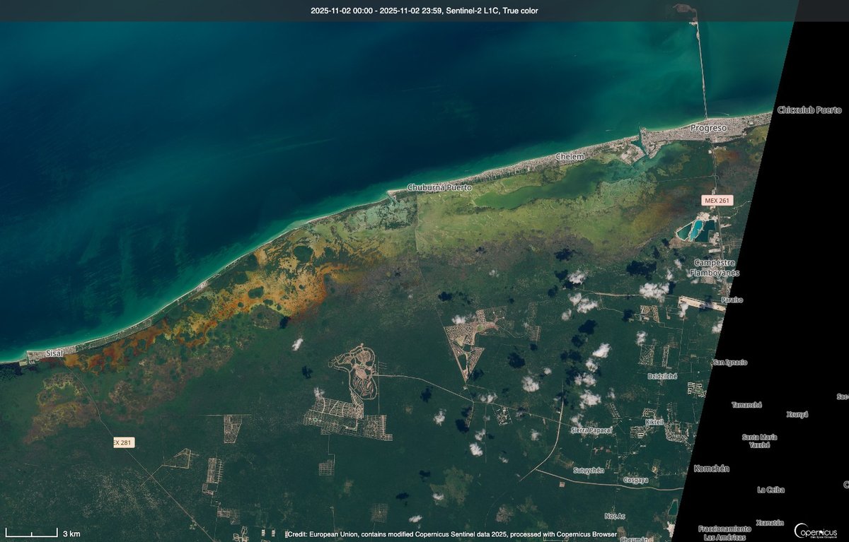 2015 y 2025.
La destrucción de la selva a manos de inmobiliarias en Yucatán.
imágenes en color natural de Sentinel-2.