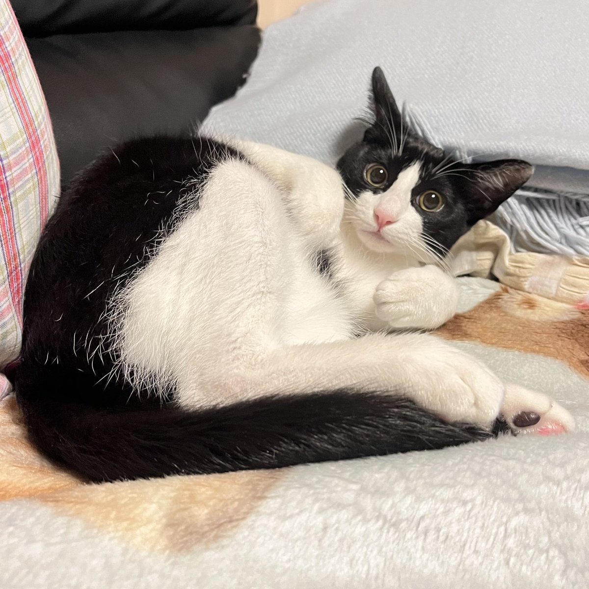 各局、おはようございます♪
今週もよろしくお願いします。
1週間FBに〜