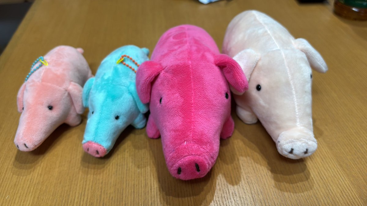 祭りが終わった。
ブタ音楽祭の写真を見て余韻に浸っています。
チャランポイベント参戦は12月。
わが家のブタさん🐷