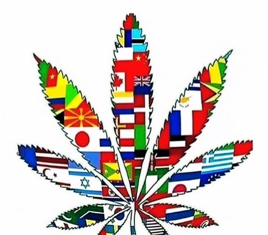 AngelTheHighest's tweet image. Roll call

Your flag in the comments 👇