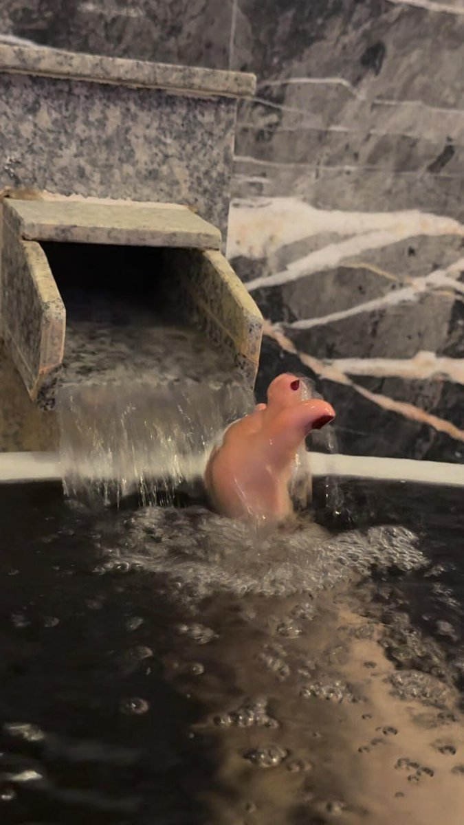 BackOnTrackDUI's tweet image. 