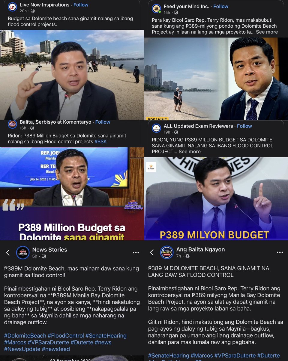 Terry Ridon tweet media