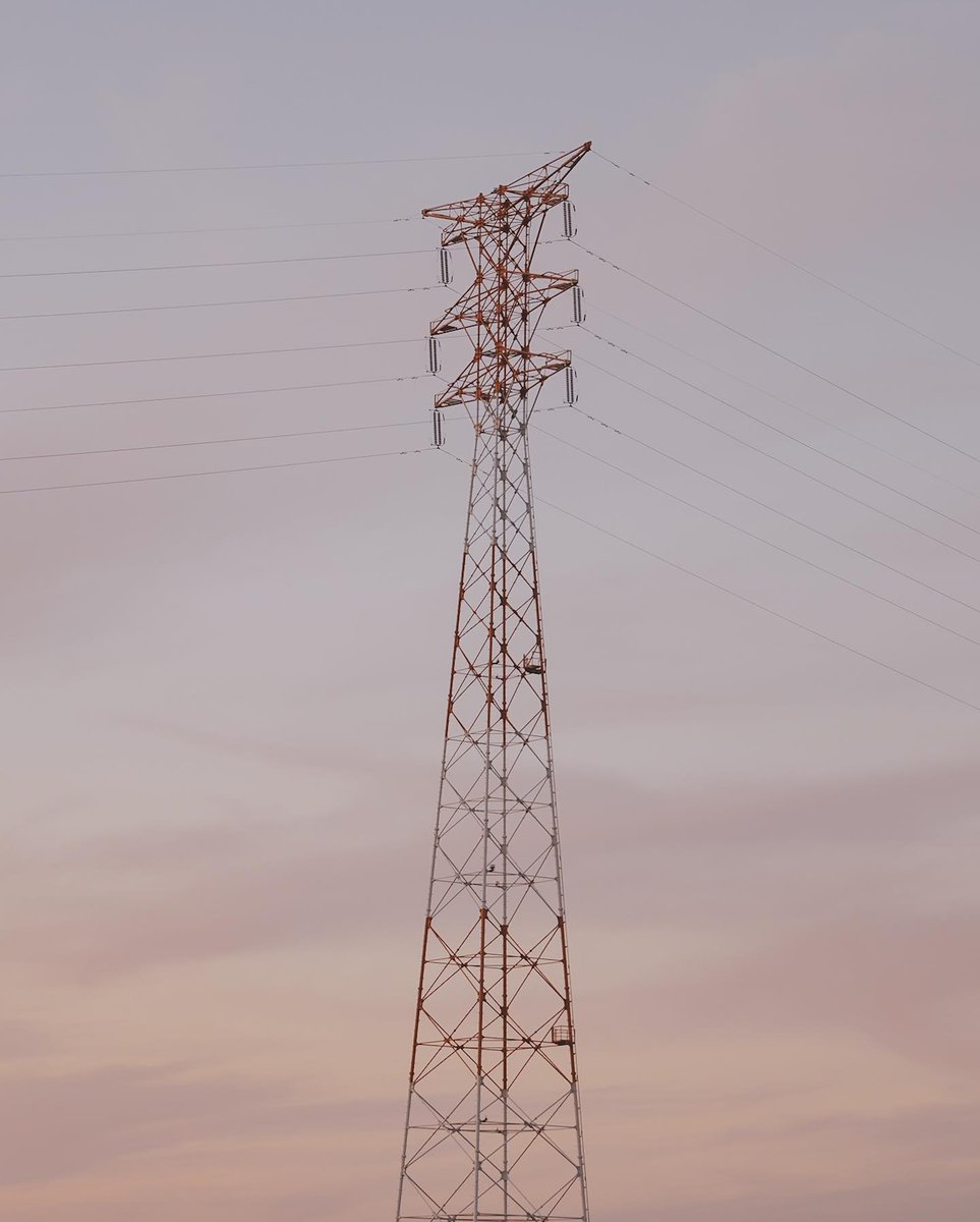 Luis Concepción tweet media