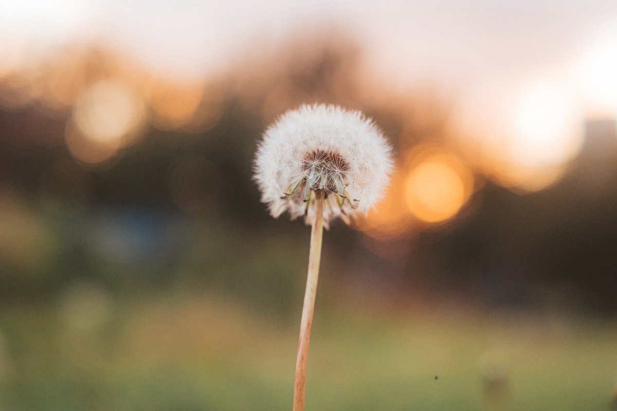 FUJIFILMで残す景色