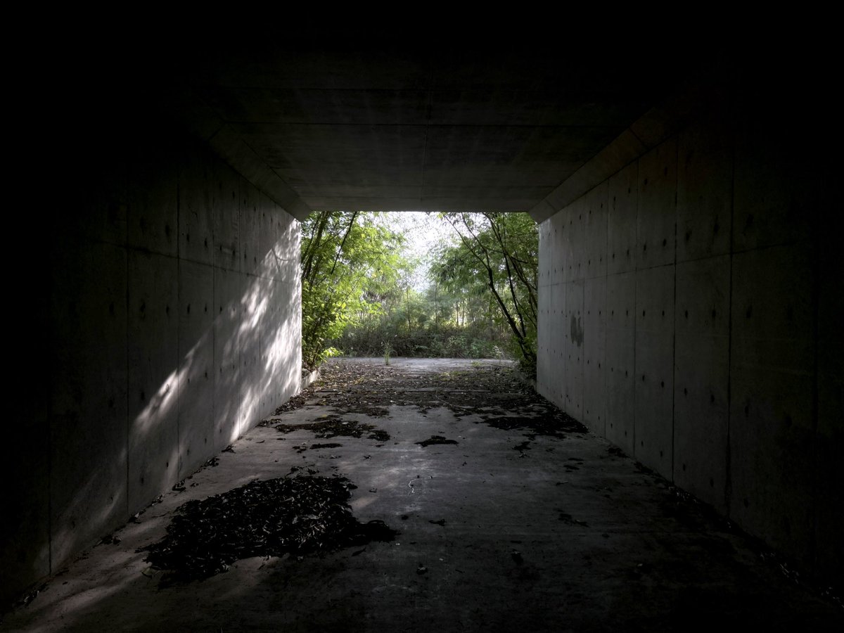 hallcalo's tweet image. 