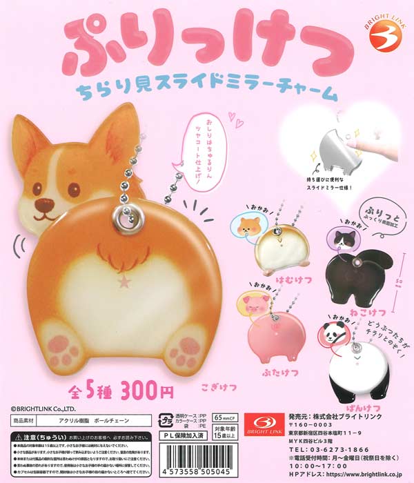 ガチャガチャスポットKiTARA on X