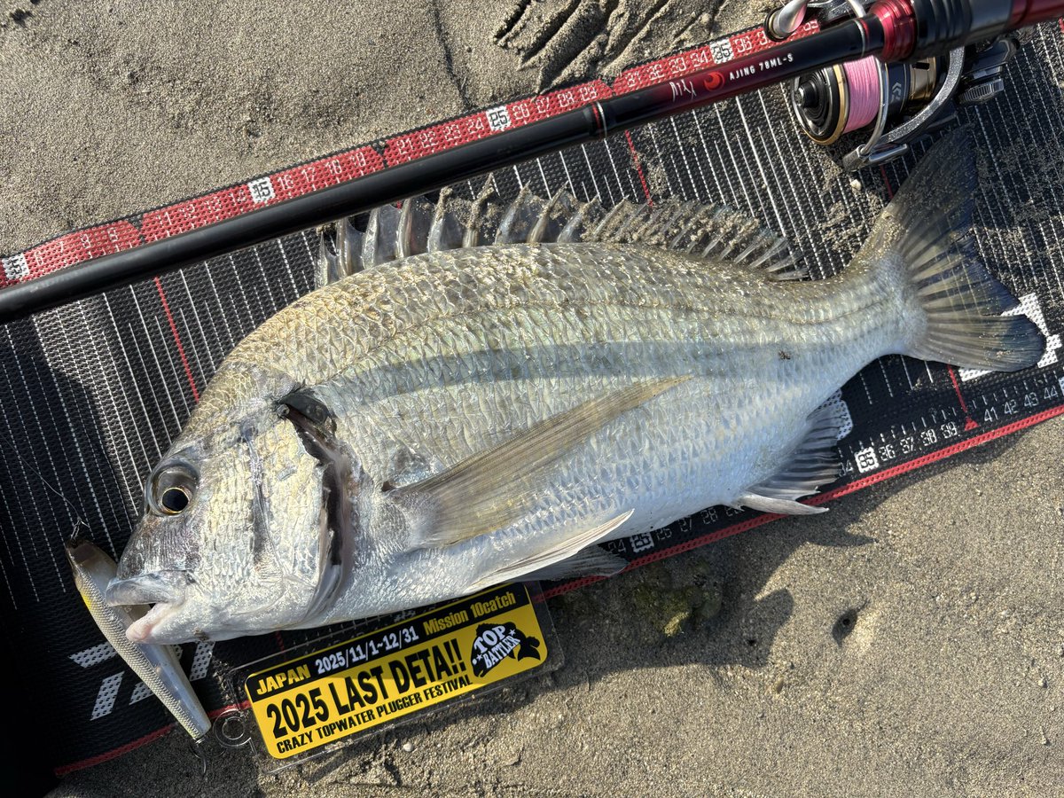 マリページ MARIHA(マリハ) Silent Rain ネックレス オーバルボールチェーン