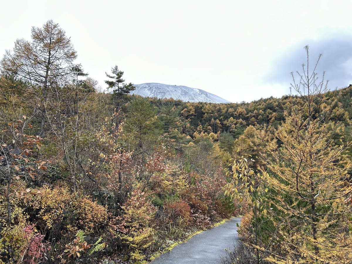 anbebechan's tweet photo. 浅間山は初冠雪。
紅葉の秋景色と雪山の冬景色が一緒に楽しめる季節です。 https://t.co/j8nA97GVa3