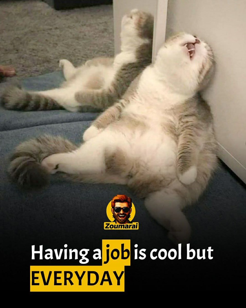 Zoumarai's tweet image. When you realize adult life is just… working every single day 😩🐱 #sendhelp 

.

#MondayMotivation #MondayMorning #relatablememe  #funnycat  #life #ZoumaraiMemes #WorkFromHomeVibes