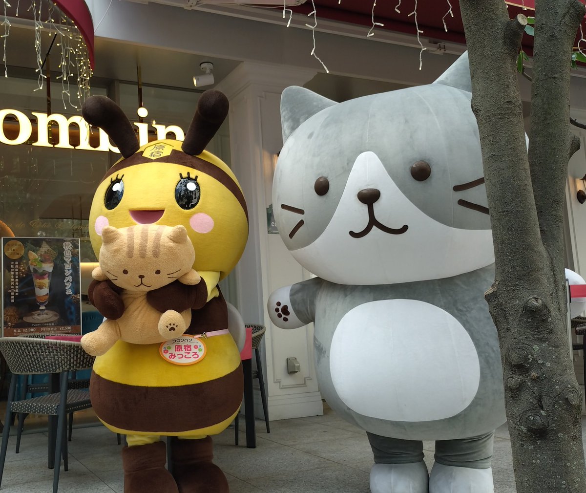 shinnetoge's tweet image. みっころが、チャチャをぎゅっとしてるの可愛かった

#ふくふくにゃんこ 
#colombin