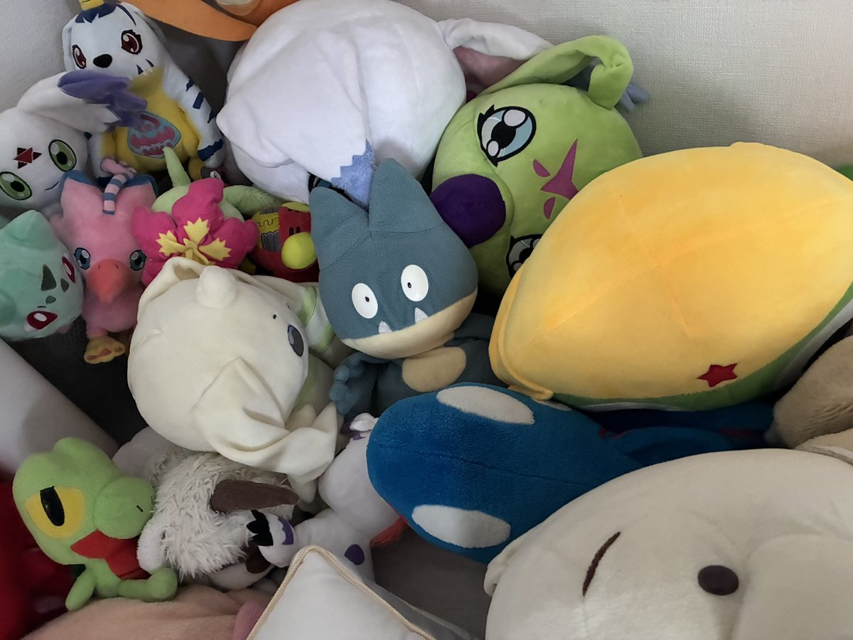 shiropooh622's tweet photo. この状態でゴン
誰も起こさずに起き上がらないといけないゴン
無理ゴン https://t.co/OD5lPWLjGX