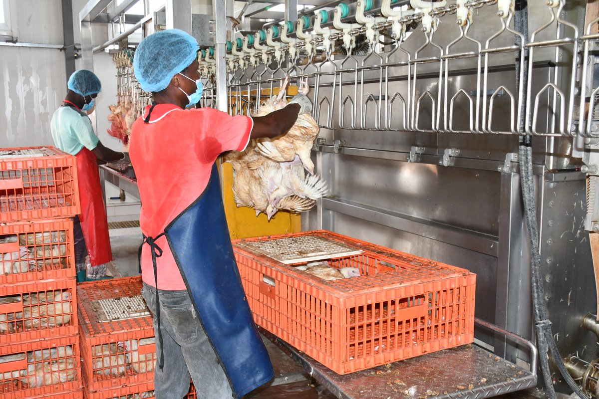 Le Mois du Consommer Local tweet media