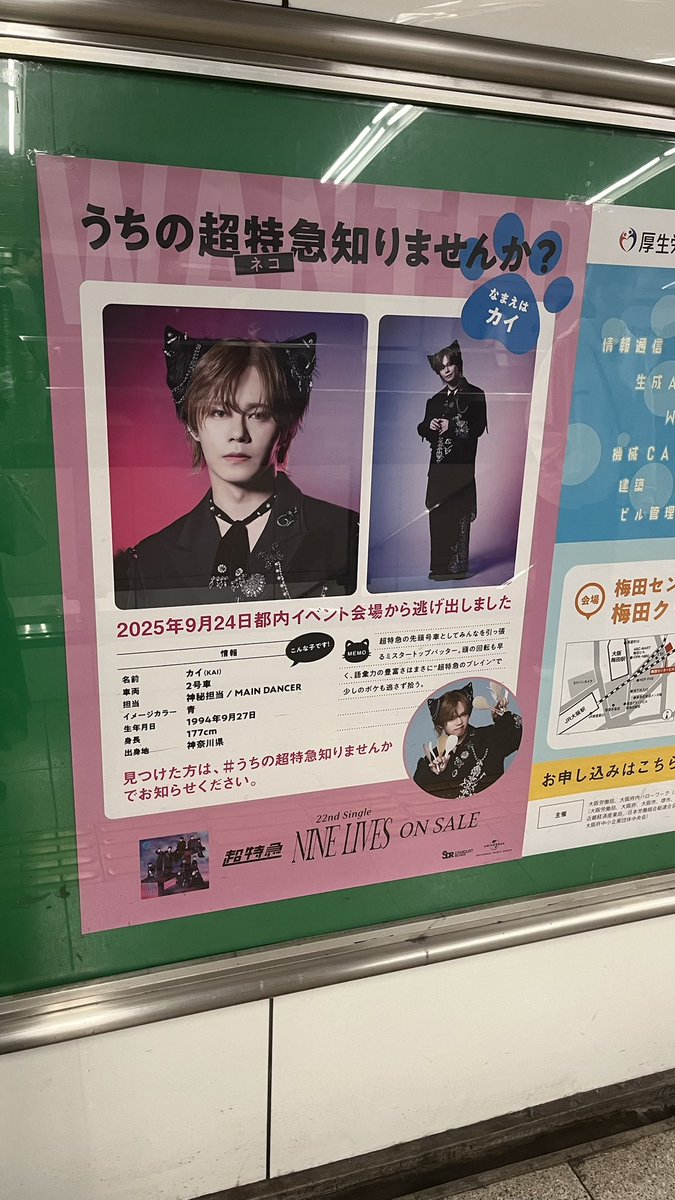 カイ君ページ くー| ε:) on X