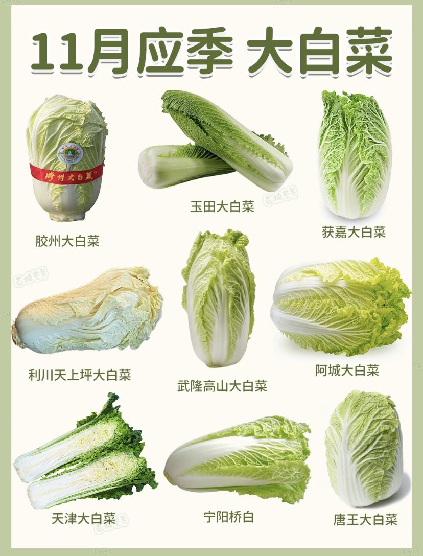 hahahahappy521's tweet photo. 9款大白菜，你吃过几款？ https://t.co/GuVLaN6BIA