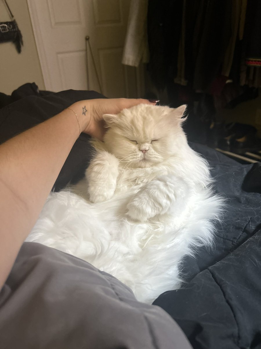 d1v1n3yay's tweet image. chillin