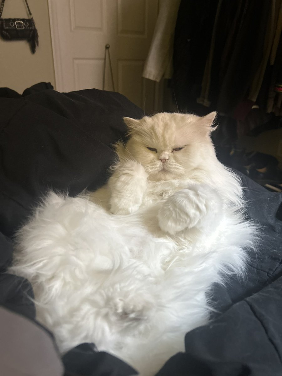 d1v1n3yay's tweet image. chillin