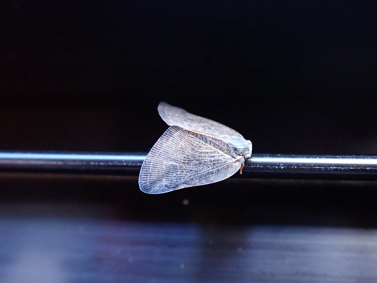 zoe (@Czoe41315833) / Posts / X