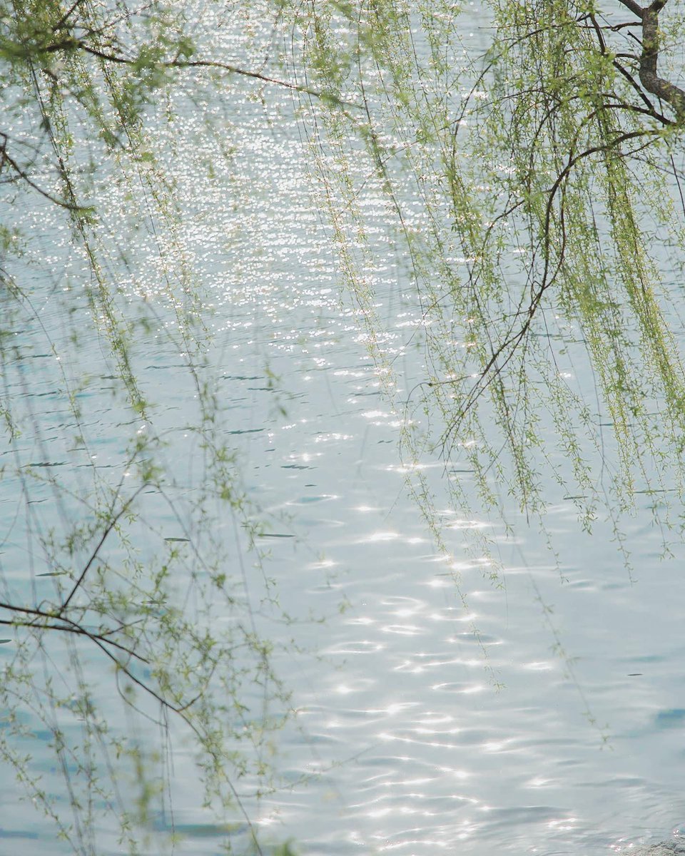 Do business,but be not a slave to it.🤤🚐3165
These little things brings back memories I thought were gone, and I whisper to the night.